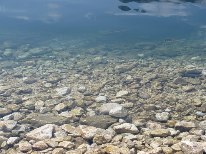 thumb pujskovadezela7